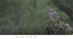 Desktop Screenshot of dom.iworks.pl
